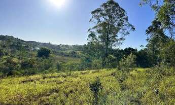 Imagem 3: Terreno 35.000m2 c/ água corrente, luz ao lado e ótima localização em Desterro de Entre Ri
