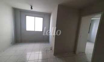 Imagem 4: São Paulo - Apartamento Padrão - Higienópolis