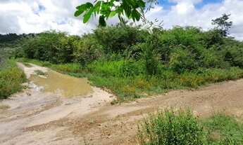 Imagem 7: Vendo 2 lotes ligados, medindo 10x30m cada, região Usina Santana