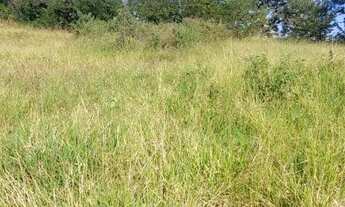 Imagem 3: Chácara 3 mil metros/condomínio em Igarapé