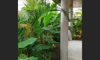 Imagem 2: Maikai casa térrea