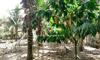 Imagem 2: SITIO RURAL em PORTO SEGURO - BA, zona rural