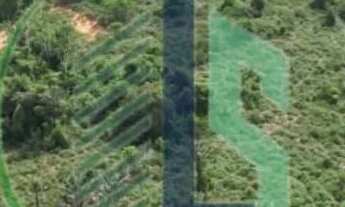 Imagem 6: Vendo Fazenda Fazenda / sítio com venda por R$12.270.000