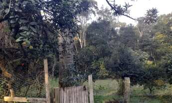 Imagem 3: Chácara em Mandirituba