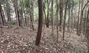 Imagem 6: Chácara 1000m2 oportunidade