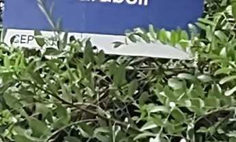 Imagem 6: Terrenos S.J.Rio Preto - SP