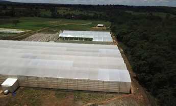 Imagem 6: AREA RURAL - HIDROLANDIA-GO Área / Terreno à Venda, 50000.00 por R$ 850000.00 no setor Zon