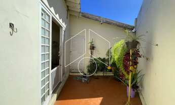 Imagem 6: Comercial / Casa - Banzato - Venda - Residencial