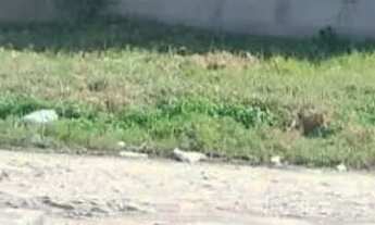 Imagem 7: Casa em Timon Casa com 2 dormitórios