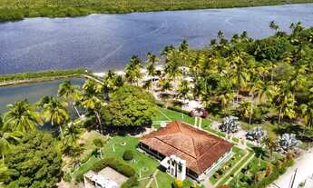 Imagem 2: Propriedade com 160 tarefas a venda no Povoado Farnaval em Estância-Se