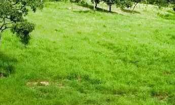 Imagem 4: Fazenda a venda, em Santa Terezinha - Goiás!!!