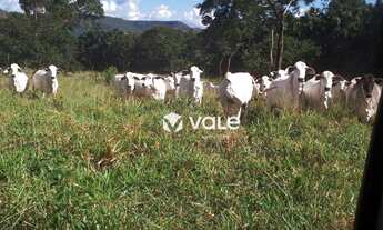 Imagem 6: Fazenda à venda, 571120 m² por R$ 3.000.000,00 - Plano Diretor Norte - Palmas/TO