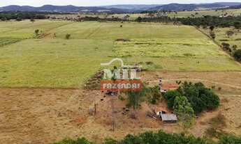 Imagem 2: Chácara 1.19 alqueires 5,8 hectares (58.000 m²) Morrinhos-GO