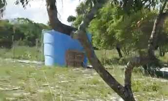 Imagem 2: Sítio Japaratuba - chacara interior - terreno