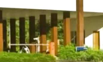 Imagem 3: Excelente Duplex no Condomínio Alphaville 1. 495m2, 4 Suítes, Piscina, 100% Mobiliada