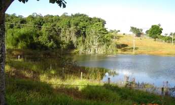 Imagem 5: Fazenda em lavoura 56 alqueires Anápolis-go