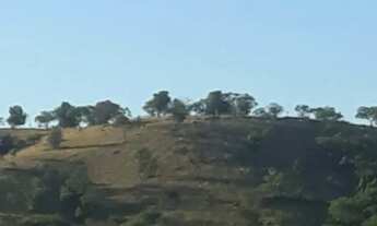 Imagem 3: Sítio Chácara Fazendinha de 3 alqueires montada em Pirenópolis Goiás