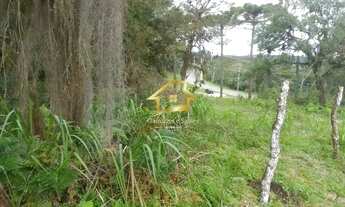 Imagem 2: TERRENO EM CAMPINA GRANDE DO SUL