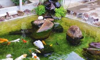 Imagem 2: COMERCIAL - JARDIM NOVA APARECIDA - SP