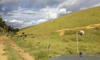 Imagem: Venda-se está propriedade de 26 Alqueires