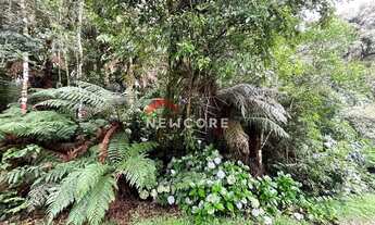 Imagem 5: Lote em Rua 21 - Alpes - São Francisco de Paula/RS