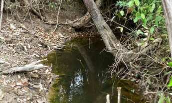 Imagem 6: Chácara Abadiânia nova #corumba4 fica no loteamento fazenda vaca brava 8 km de chão