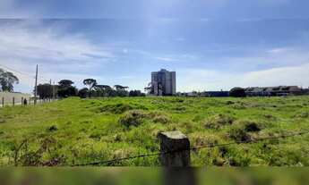 Imagem: Lote à venda em Pinhais 716 m² 15x49