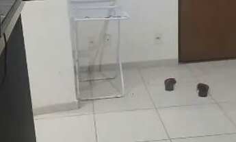 Imagem 5: Vendo apartamento avista!!