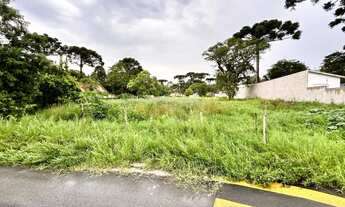 Imagem 5: Excelente terreno de esquina, plano, seco, 15x40, 600m2, a uma quadra da Rua Herbert Trapp