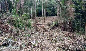 Imagem 4: Terreno para chácara sítio lazer