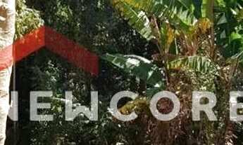 Imagem 3: Lote em condomínio em Rua Tasso Magalhães - Jardim Sorirama (Sousas) - Campinas/SP