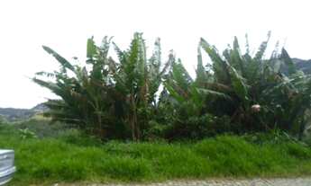 Imagem 6: Terreno à venda 1200M², Quitandinha, Petrópolis - RJ