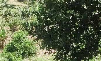 Imagem 7: Chácara no bairro Monterrey: 2 Quartos, 1 Suíte, 3 Banheiros, 3 Vagas de Garagem - Louveir