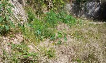 Imagem 7: Terreno 800 mtrs com Construção de Casa 3 dorms (falta acabamento) - negocia com entrada