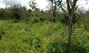 Imagem 5: Vendo Terreno no Povoado Santa Teresa