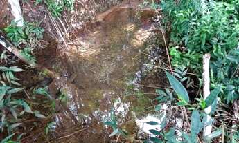 Imagem 6: Terreno 46 Hectares por R$330.000,00