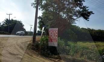 Imagem 2: Excelente Terreno Comercial ou Industrial com 12.215 m2, na SC 477, Divisa entre Timbó e I