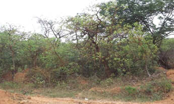 Imagem 3: Lote 1.00m², com água, luz /Serra do Cipó, temos varias opções