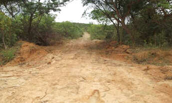 Imagem 2: Lote 1.00m², com água, luz /Serra do Cipó, temos varias opções