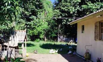 Imagem: Fazenda/Sítio/Chácara para venda tem 104