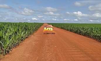 Imagem 2: Fazenda para Venda, Região produtora consolidada
