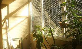 Imagem 4: Apartamento em excelente localização no Jardim Botânico