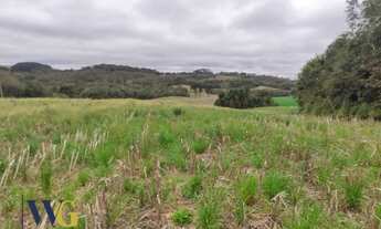 Imagem 6: Terreno Rural para Venda em Campo Largo, Retiro