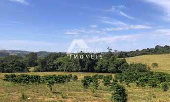 Imagem 6: Ibiraci - Sítio - Ibiraci