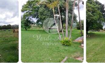 Imagem 4: Sítio - Parque Dante Marmirolli - Sumaré