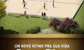 Imagem 6: Lançamento VINHEDOS