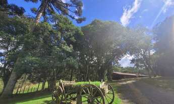 Imagem 3: Linda chácara com 30.000 m² coladinha do centro de Campo Alegre/SC