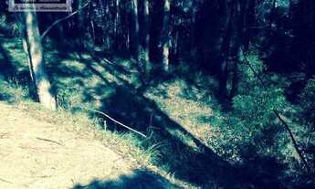 Imagem 2: Terreno à venda, 2509 m² por R$ 2.800.000,00 - Residencial Tamboré - Barueri/SP