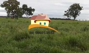 Imagem 3: Fazenda para Venda, Região produtora em expansão