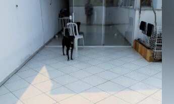 Imagem 2: Cobertura Duplex Casa Branca/Centro - Sem Condomínio - 126 metros - 2 vagas!